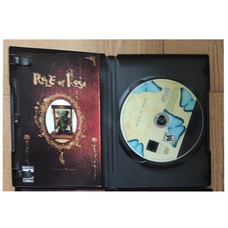 PS2 ролевая роза с ручной копи – обзор и цена Retro Gaming Console